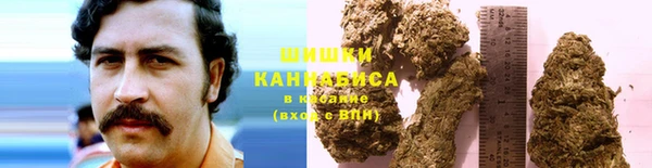ГАЛЛЮЦИНОГЕННЫЕ ГРИБЫ Алексеевка