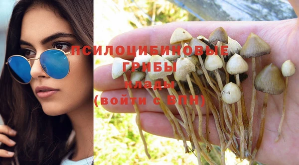 ГАЛЛЮЦИНОГЕННЫЕ ГРИБЫ Алексеевка