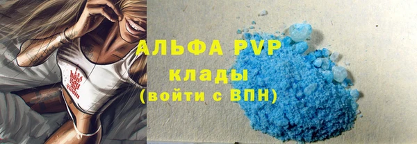 ПСИЛОЦИБИНОВЫЕ ГРИБЫ Осинники