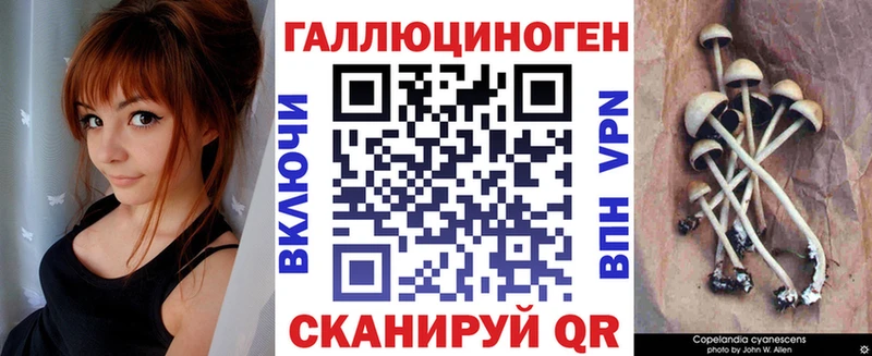 даркнет сайт  hydra сайт  Псилоцибиновые грибы мухоморы  Пущино 